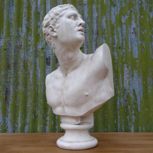 Large Grand Tour Style Plaster Bust of the Borghese Gladiator
