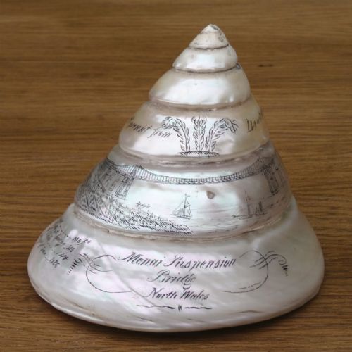 Pearl Troca Shell of Welsh, Menai Bridge, Thomas Telford Interest