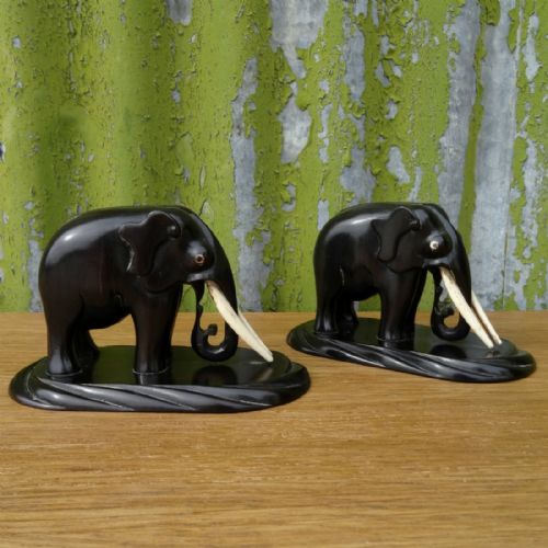 Pair of Indian Elephants