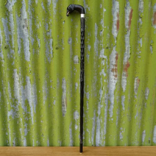 Indian Walking Stick
