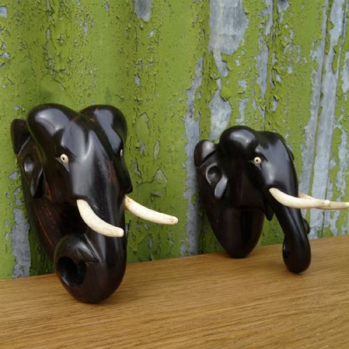 Pair of Indian Elephants