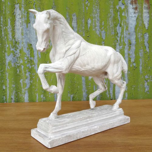 Brucciani Plaster Horse