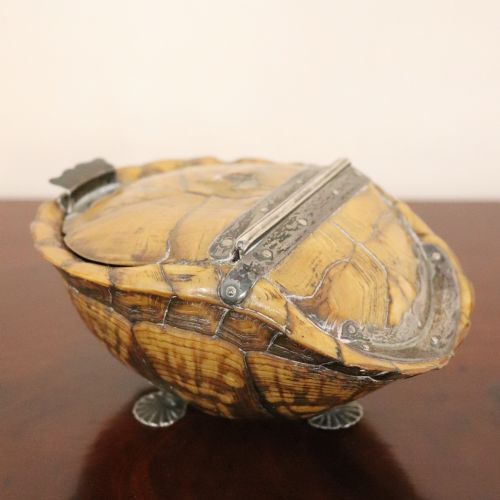EARLY 19TH CENTURY TURTLE SHELL AND SILVER MOUNTED TABLE SNUFF BOX - ADDITIONAL PHOTO 1