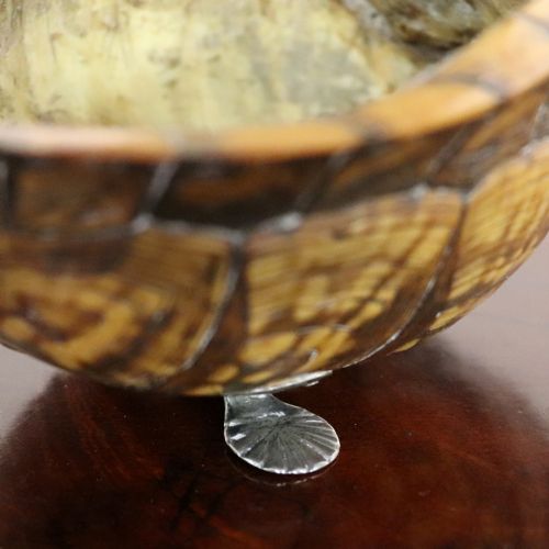 EARLY 19TH CENTURY TURTLE SHELL AND SILVER MOUNTED TABLE SNUFF BOX - ADDITIONAL PHOTO 3