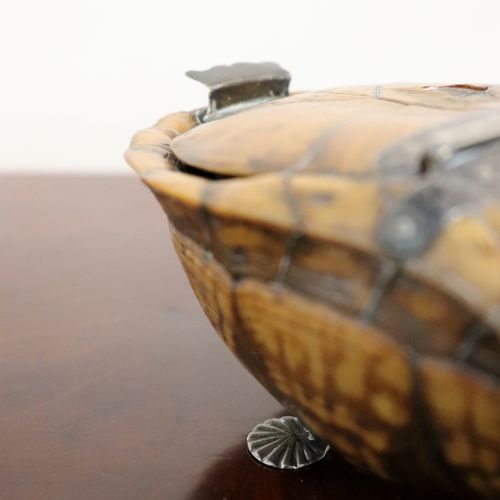 EARLY 19TH CENTURY TURTLE SHELL AND SILVER MOUNTED TABLE SNUFF BOX - ADDITIONAL PHOTO 6