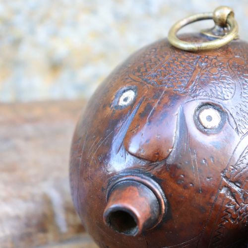 19TH CENTURY NAIVE CARVED COCONUT BUG BEAR FLASK - ADDITIONAL PHOTO 5