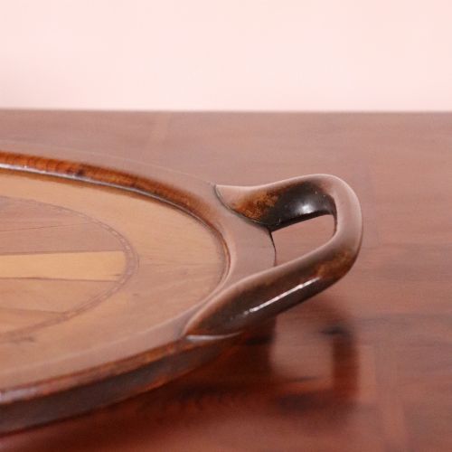 ANTIQUE BRAZILIAN SPECIMEN WOOD TRAY - ADDITIONAL PHOTO 6