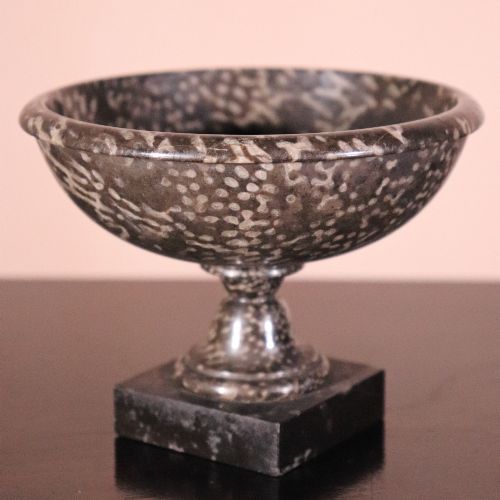 19TH CENTURY ASHFORD CORAL MARBLE TAZZA OF SMALL SIZE - ADDITIONAL PHOTO 2