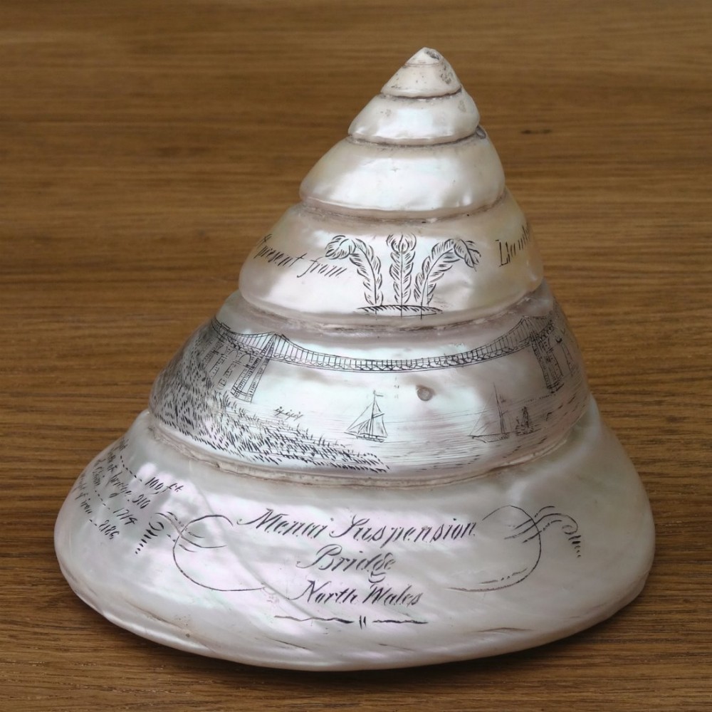 Pearl Troca Shell of Welsh, Menai Bridge, Thomas Telford interest