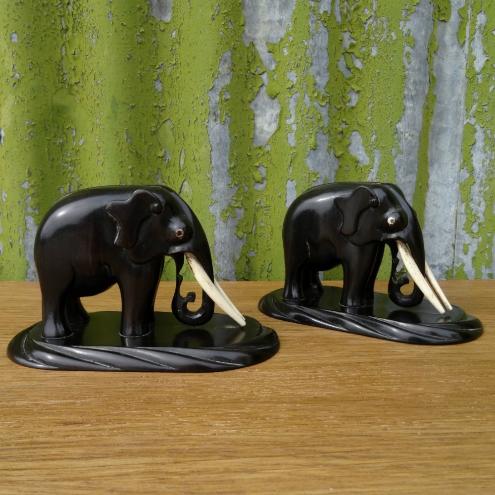 Pair of Indian Elephants