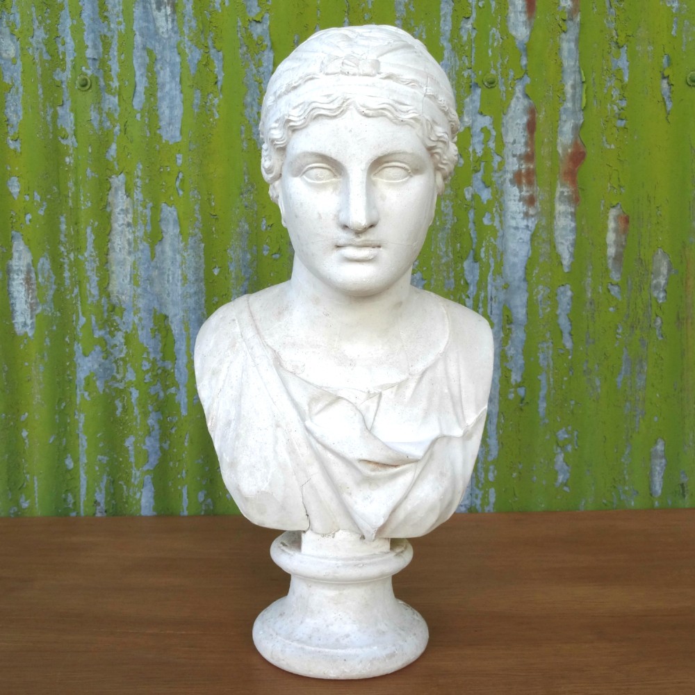 Grand Tour Plaster Bust of Juno