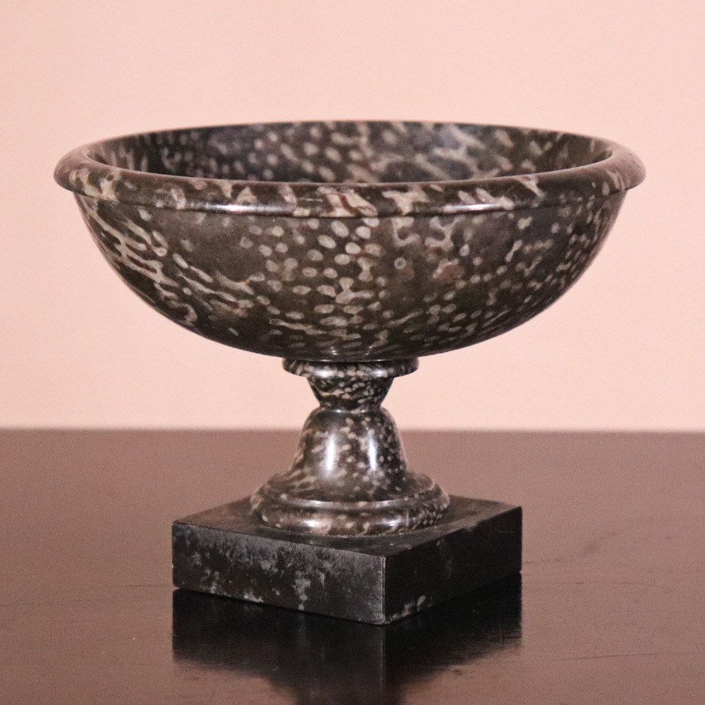 A small nineteenth-century tazza carved from dark Ashford coral marble with visible light fossil inclusions, featuring a shallow round bowl on a turned pedestal and square plinth base. View II