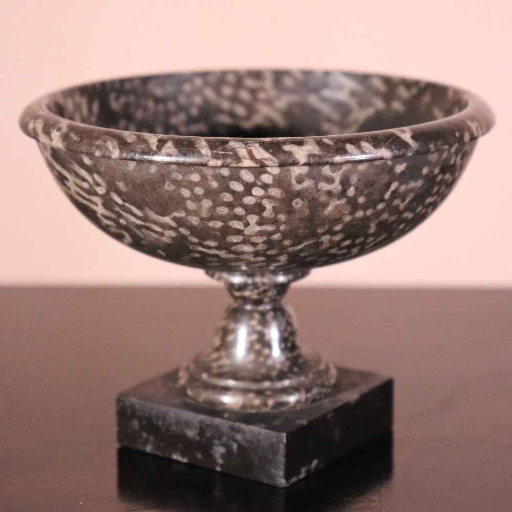 A small nineteenth-century tazza carved from dark Ashford coral marble with visible light fossil inclusions, featuring a shallow round bowl on a turned pedestal and square plinth base. View III