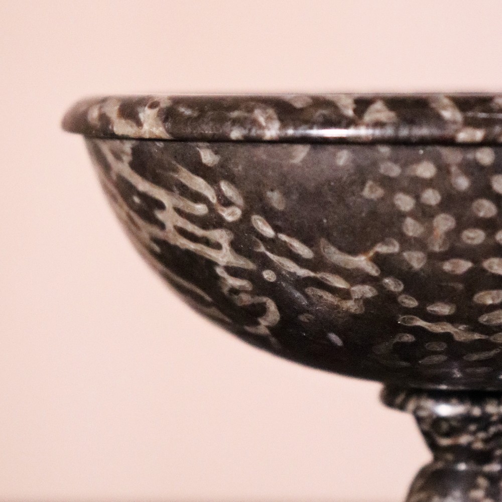 A small nineteenth-century tazza carved from dark Ashford coral marble with visible light fossil inclusions, featuring a shallow round bowl on a turned pedestal and square plinth base. View V
