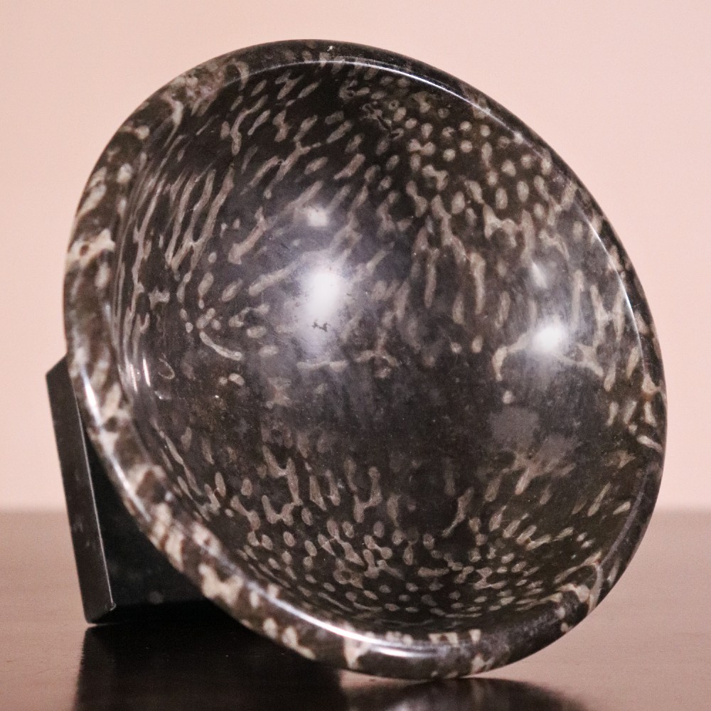 A small nineteenth-century tazza carved from dark Ashford coral marble with visible light fossil inclusions, featuring a shallow round bowl on a turned pedestal and square plinth base. View VI