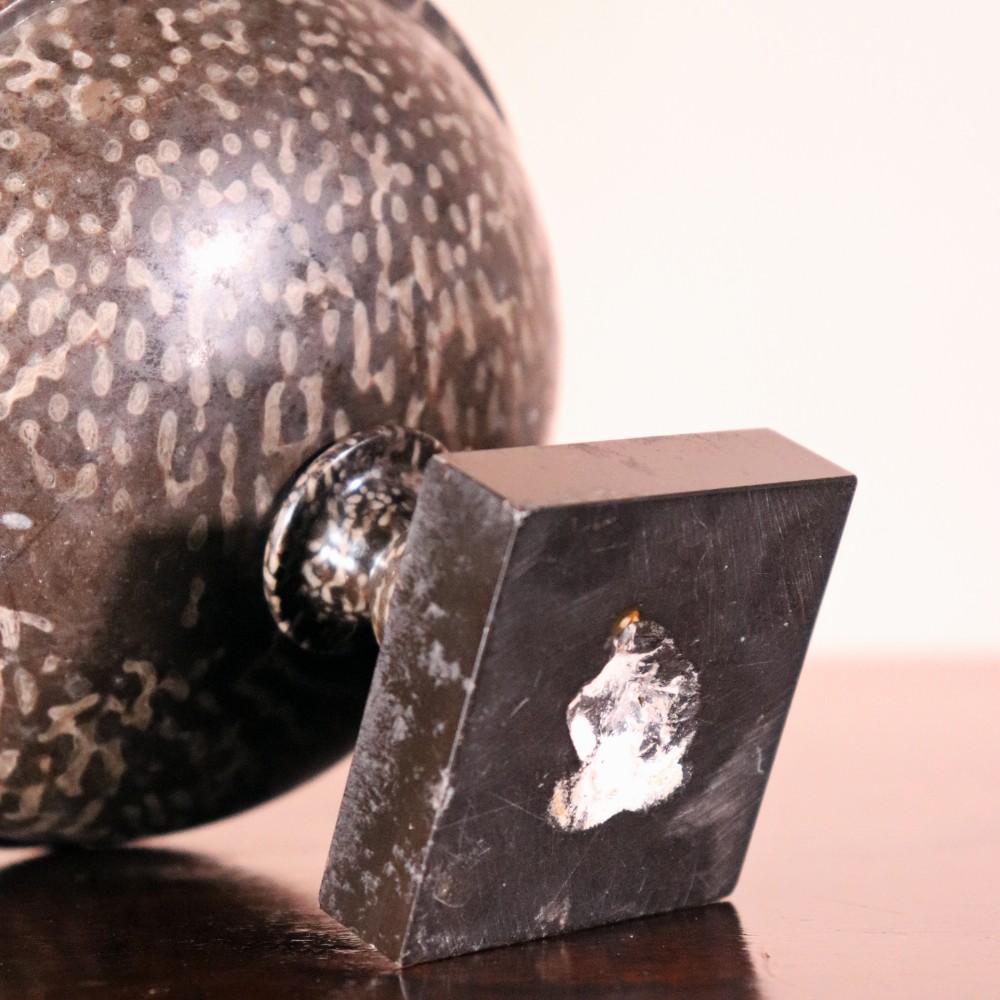 A small nineteenth-century tazza carved from dark Ashford coral marble with visible light fossil inclusions, featuring a shallow round bowl on a turned pedestal and square plinth base. View VII