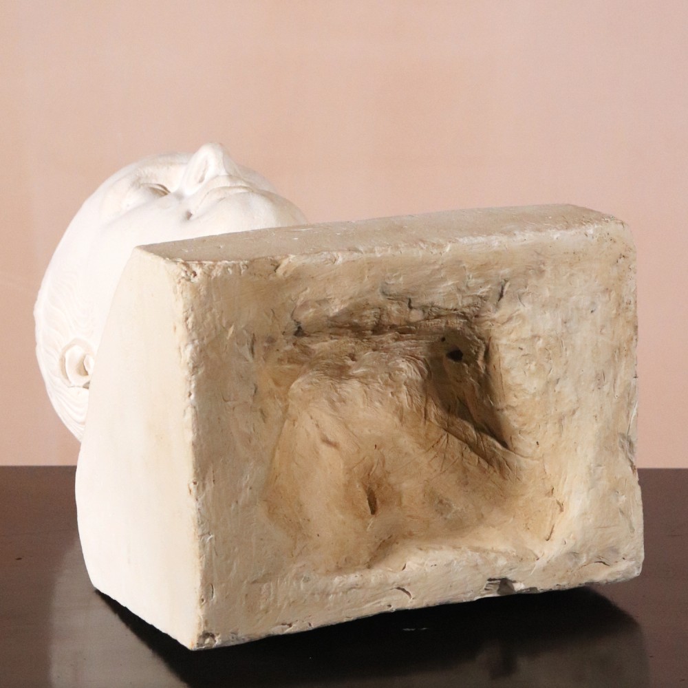 An off-white plaster portrait bust depicting Napoleon Bonaparte with short classical hair and a square pedestal base. View VII
