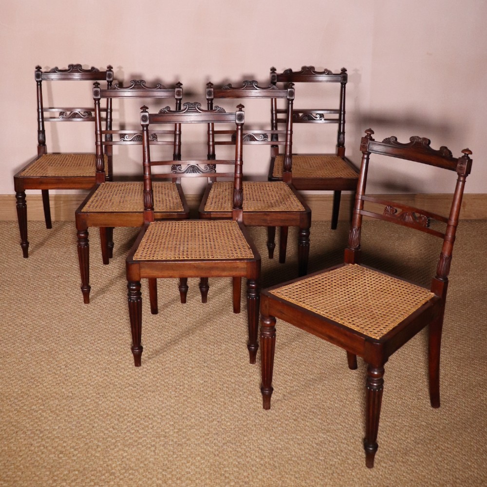 A set of six Regency period side chairs crafted from dark Goncalo Alves timber featuring carved crest rails, detailed backsplats, turned front legs, and hand-woven cane seats.
