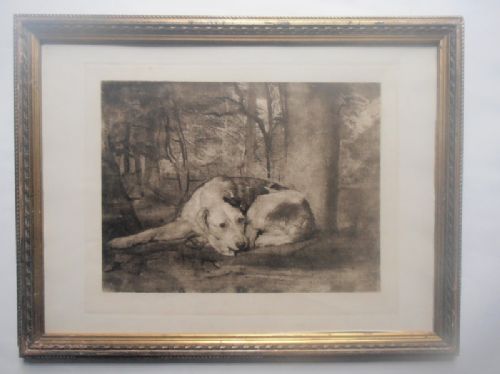 Dog in Woodland 1850 Final Proof
