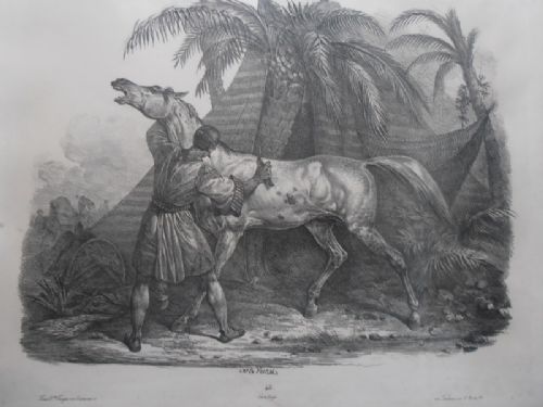 Carle Vernet , Pair of Lithographs Early 19thc