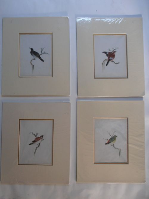 Five Chinese Mounted Bird Studies