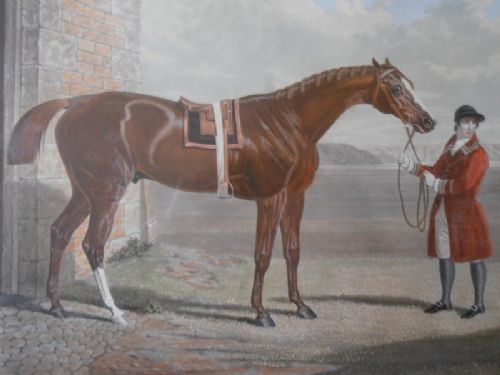 fig 1. After George Stubbs, Eclipse, Coloured Aquatint