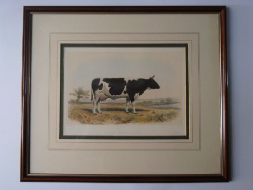 A Set of Eight French Lithographic Prints Depicting Cattle and Sheep