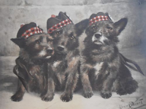 fig 1. Lilian Cheviot - Scots Tried and True - Three Scottish Lilian Cheviot - Scots Tried and True - Three Scottish terriers, with caps of the Black Watch (Royal Highland Regiment)