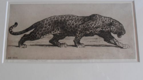 fig 1. Herbert Dicksee. Original Signed Etching of a Jaguar.