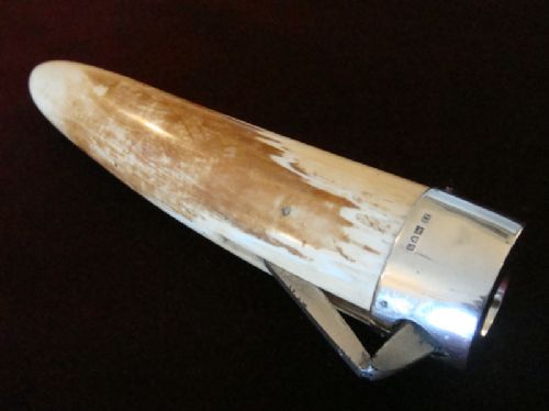 A Silver Topped Ivory Tusk Cigar Cutter