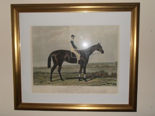 After Sydney R Wombill Ayrshire 1888 Derby Winner