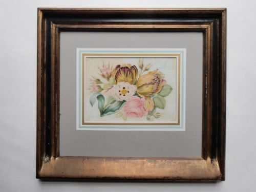 Botanical Study 19th C Watercolour