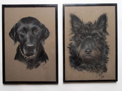A Pair of Charcoal/pastel Works of Scotty Dog and Labrador Dog 1934