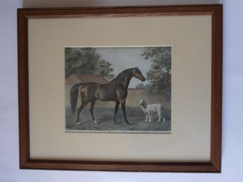 After George Stubbs Two Aquatints