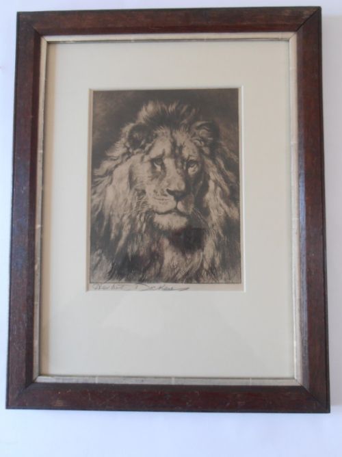 Herbert Dicksee. Etching. "His Royal Highness".