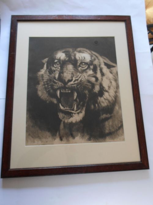 Herbert Dicksee. Etching. "The Tigress".