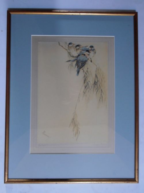 Watercolour - Blue Finches C1940