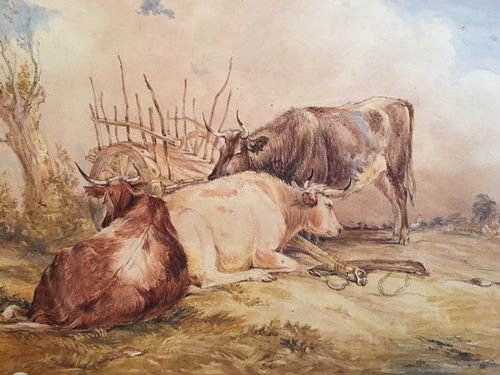 19thc Watercolour of Cattle, Signed