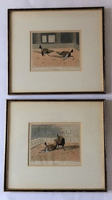 After Henry Alken - Four Cock Fighting Engravings