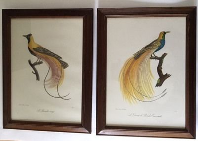 fig 1. After Louis Piere Vieillot - Set of Four Bird Lithographs