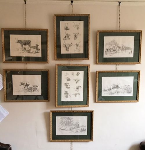 A Rare Set of Seven Cattle Lithographs 1805/6