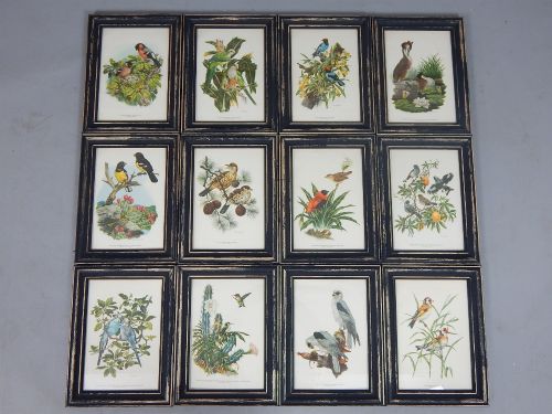 Axel Amuchastegui Set of Twelve Love Life Birds 1952