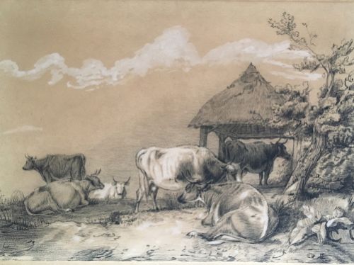 Attr to Thomas Sidney Cooper - Pencil/crayon Cattle