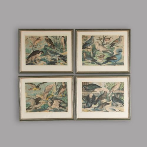 Set of Four 19th Century Hand Colourized Engravings