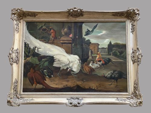 Jacob Van Roon (Dutch) - Oil on Canvas - 'The White Peacock'