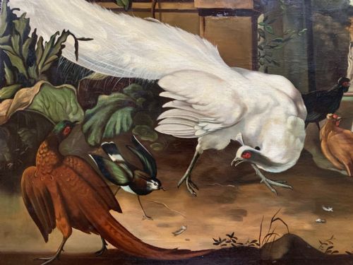 fig 1. Jacob Van Roon (Dutch) - Oil on Canvas - 'The White Peacock'