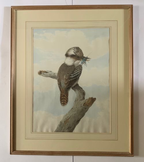 fig 1. Neville Henry Cayley - Pair of Watercolours of Kookaburras
