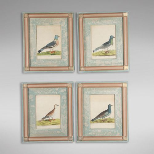 Set of Four Dove Coloured Engravings by Eleazar Albin 19thc