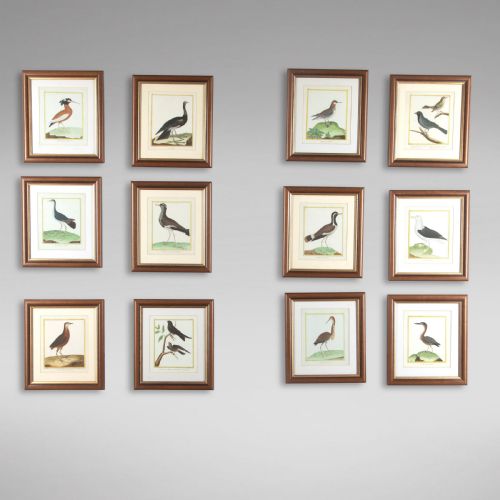 Set of Twelve Bird Hand Coloured Engravings by Martinet