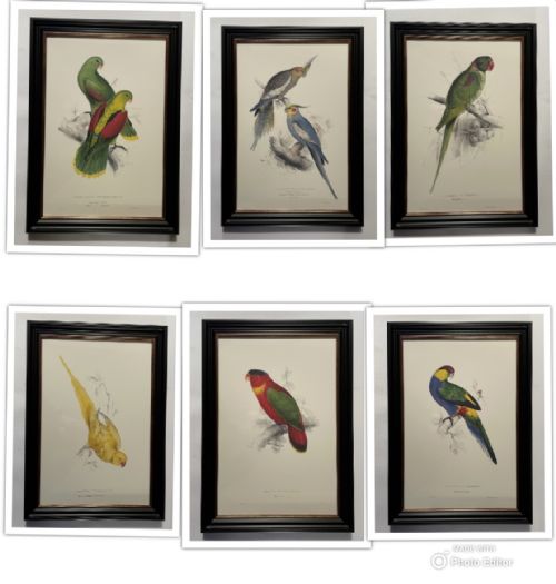 Edward Lear - A Superb Set of Six Hand Coloured Lithographs of Parrots (H)